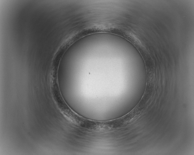 X0000074230736200609222032
