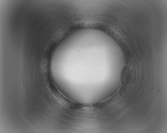 X0000074230744200609222033