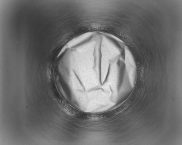 X0000074230746200609222033