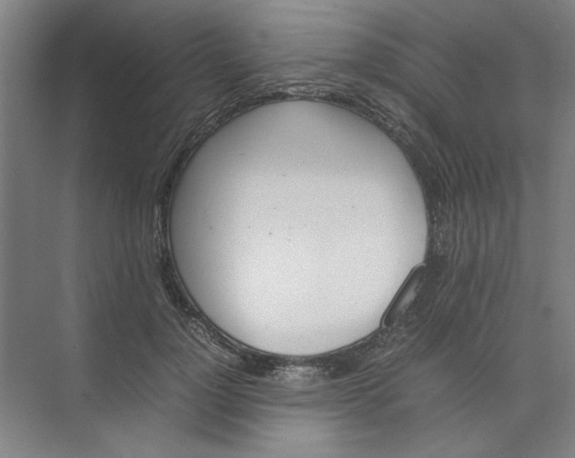 X0000074230748200609222033