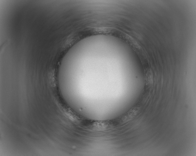 X0000074230764200609222033