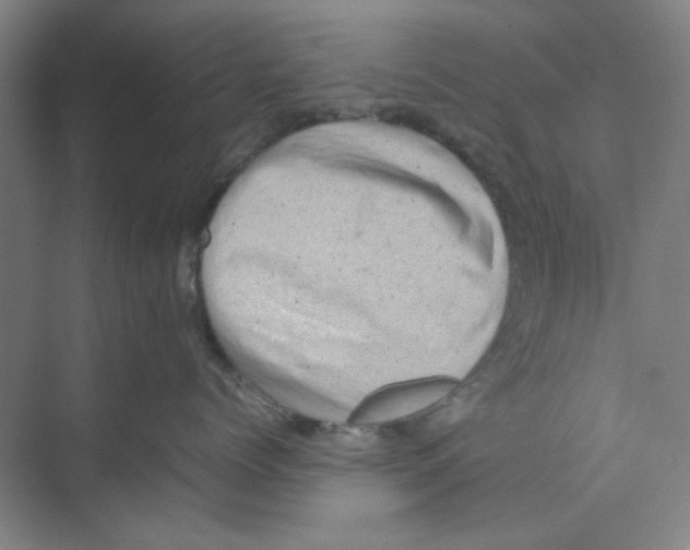 X0000074230768200609222033