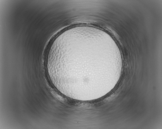 X0000074230779200609222032