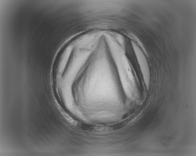 X0000074230795200609222032