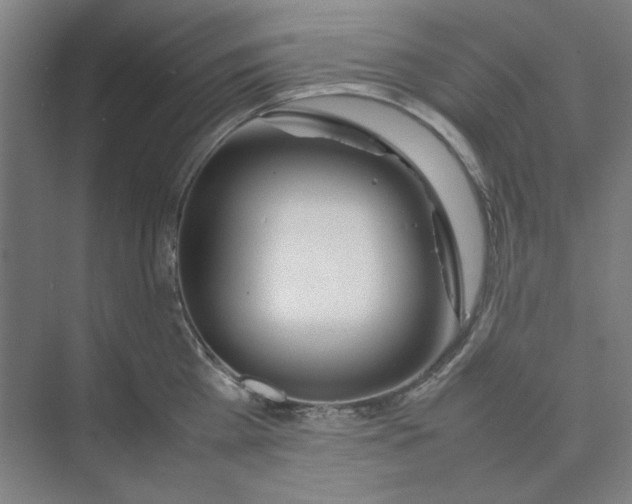 X0000074230809200609222032