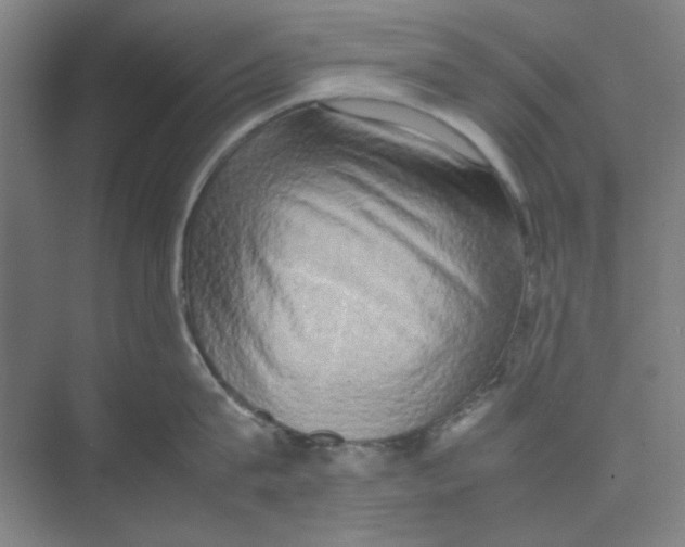 X0000074230815200609222031