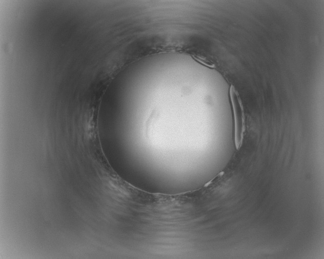 X0000074230818200609222031