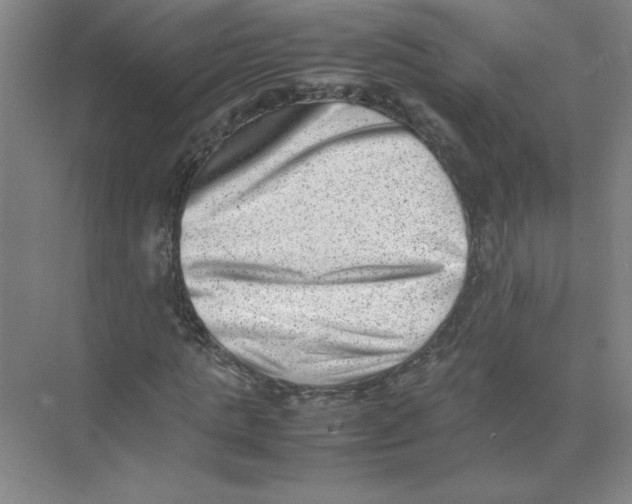 X0000074230821200609222031
