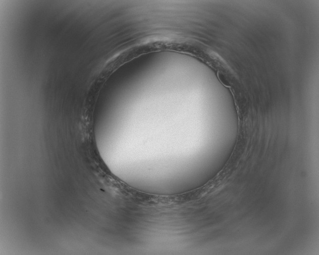 X0000074230822200609222031