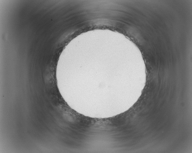 X0000074230824200609222031