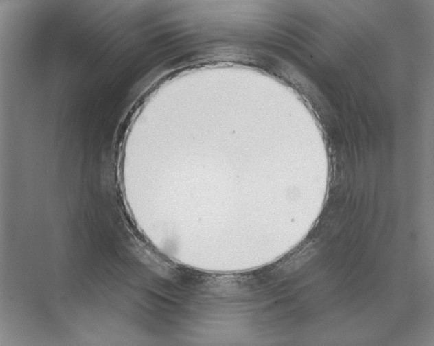 X0000074230828200609222031