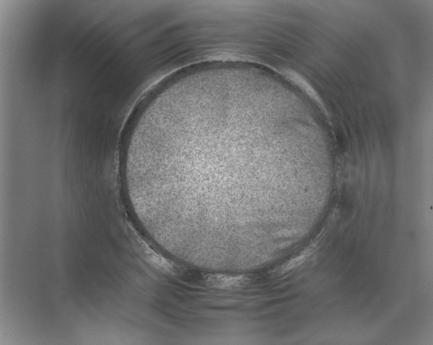 X0000074230831200609222031
