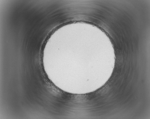 X0000074230832200609222031