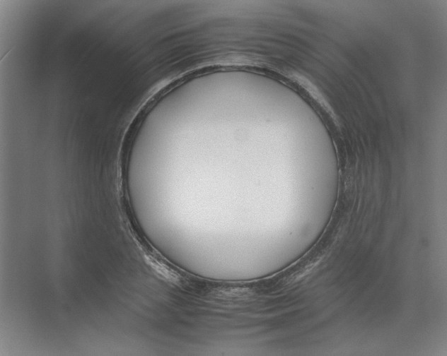 X0000074230837200609222031