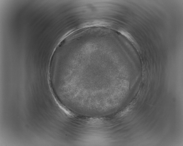 X0000074230850200609222031