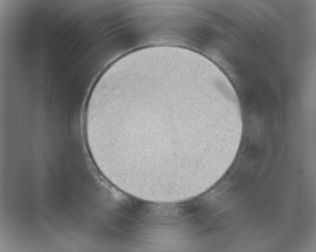 X0000074230856200609222031