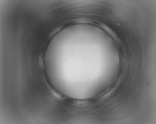 X0000074230857200609222031