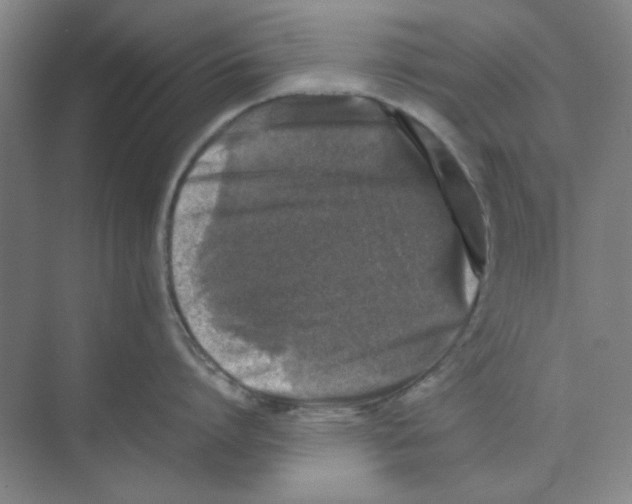 X0000074230864200609222031