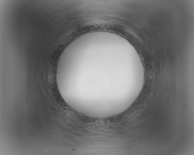 X0000074230869200609222031
