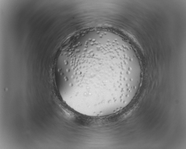 X0000074230881200609222030