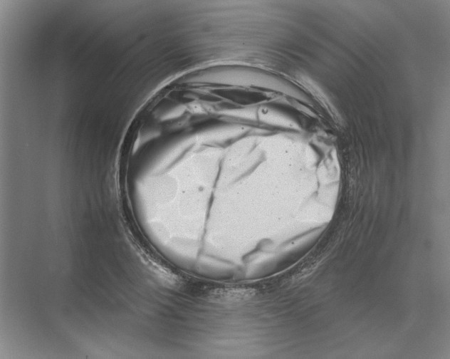 X0000074230884200609222030