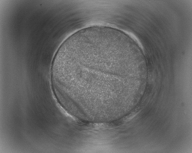 X0000074230903200609222030