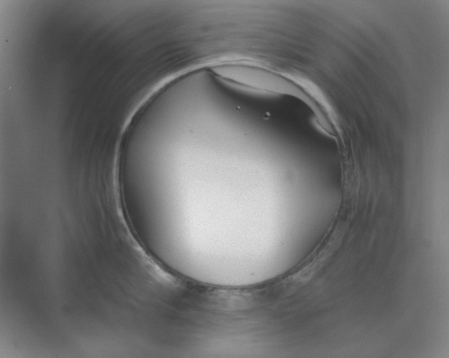 X0000074230910200609222030