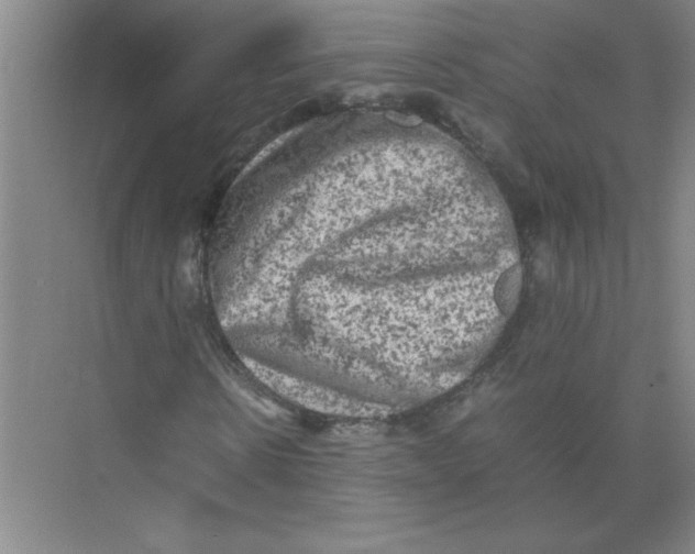 X0000074230914200609222029