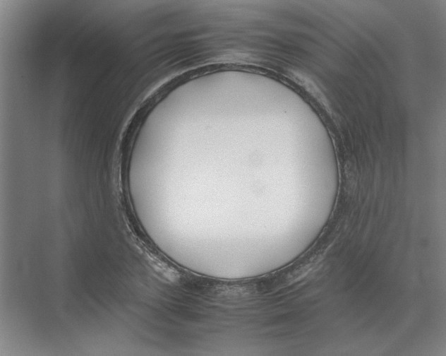 X0000074230931200609222029