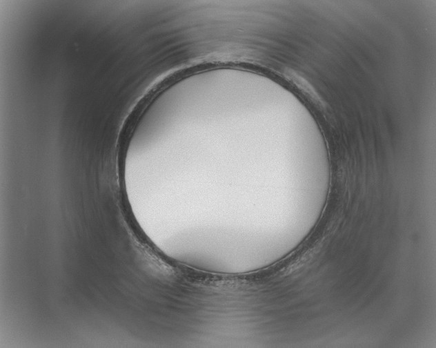 X0000074230934200609222029