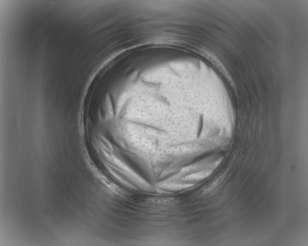 X0000074230939200609222029