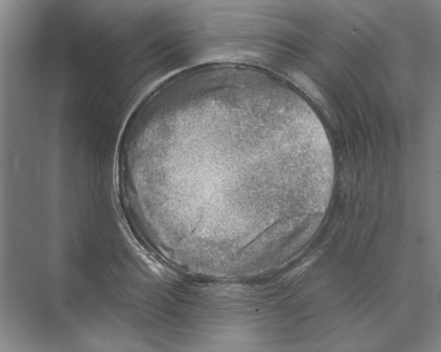X0000074230940200609222029