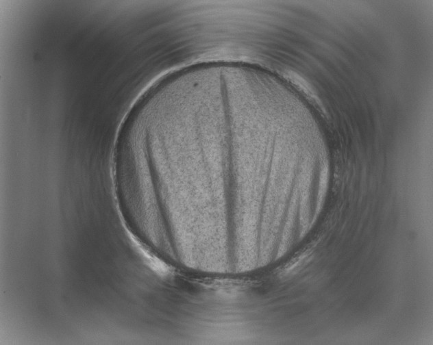 X0000074230942200609222029