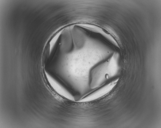 X0000074230948200609222030