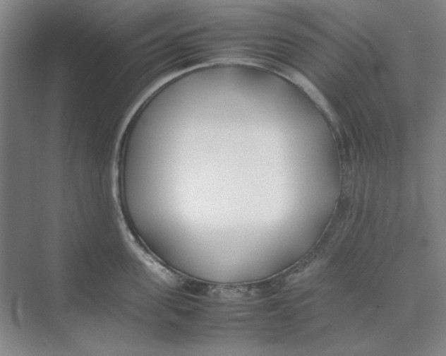 X0000074230955200609222030