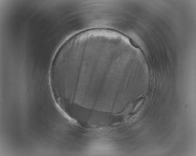 X0000074230958200609222030