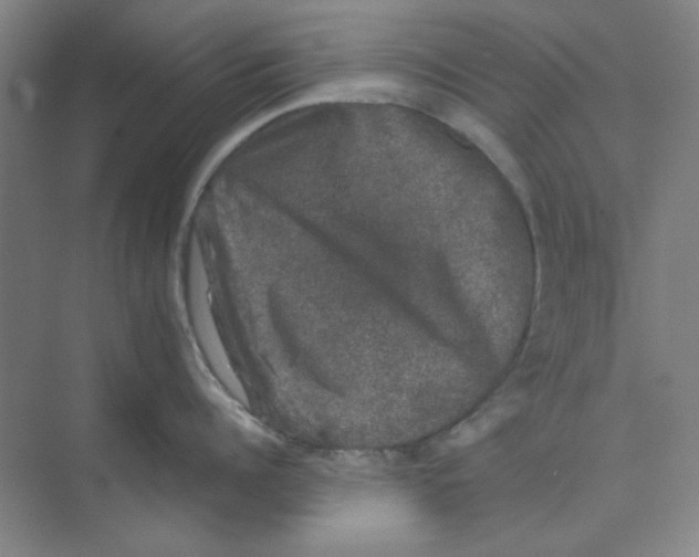 X0000074230960200609222030