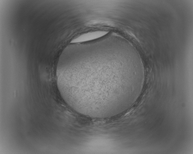 X0000074230965200609222029