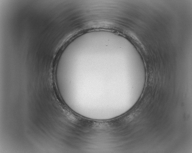 X0000074230978200609222029