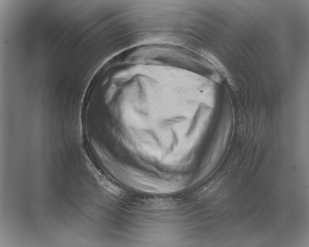 X0000074230980200609222029