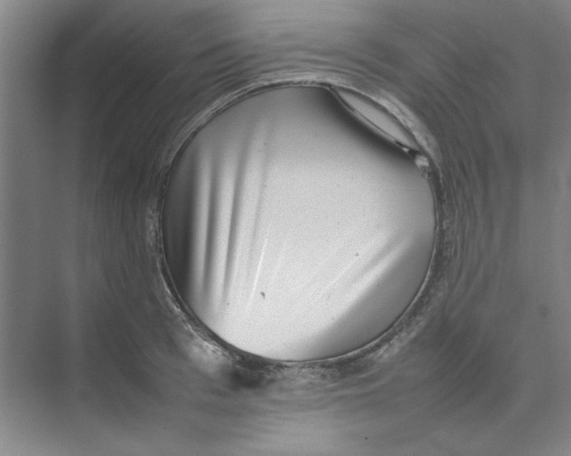 X0000074230993200609222028