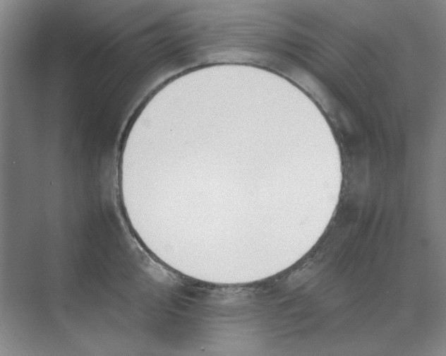 X0000074231000200609222028