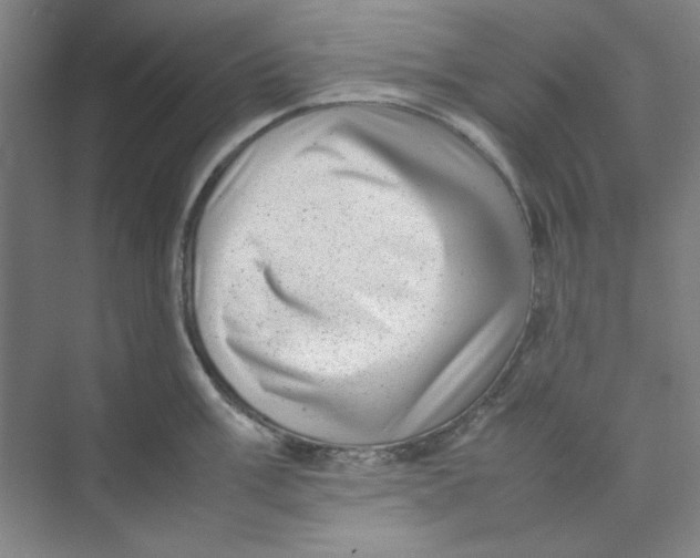 X0000074231003200609222028