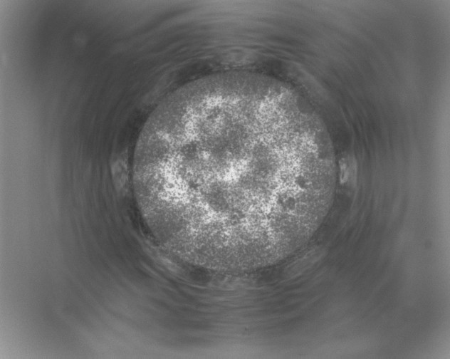X0000074231011200609222027