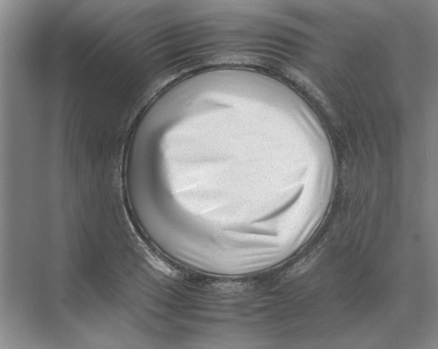 X0000074231033200609222028