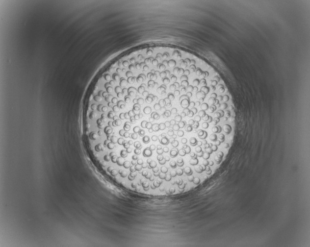 X0000074231036200609222028