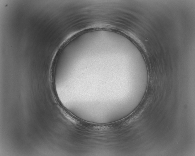 X0000074231037200609222028
