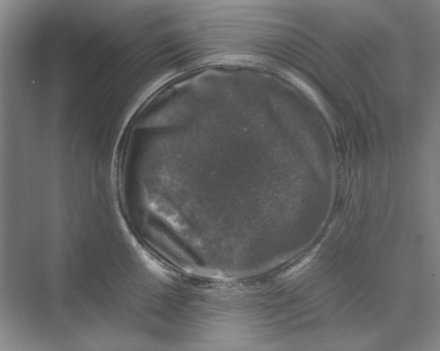 X0000074231050200609222028