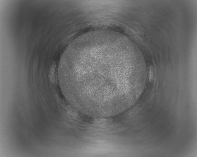 X0000074231059200609222027