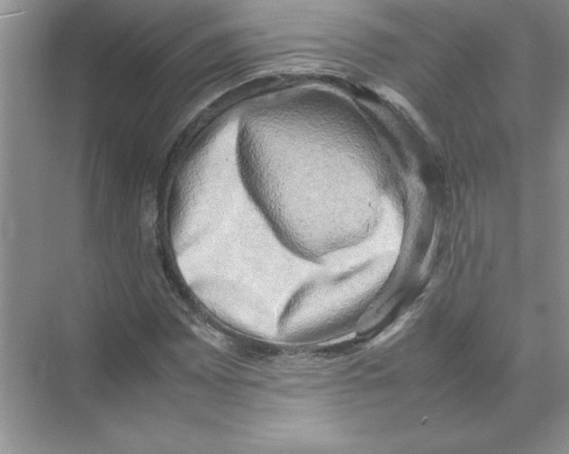 X0000074231065200609222027